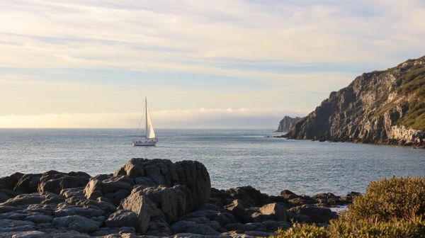 Les meilleures stratégies pour gérer votre patrimoine en Finistère